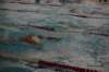imgp4802_small.jpg