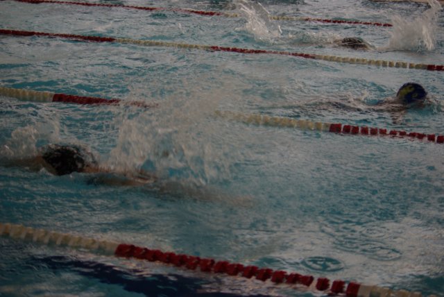 imgp4803.jpg