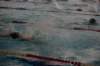 imgp4803_small.jpg