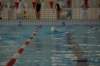 imgp4805_small.jpg