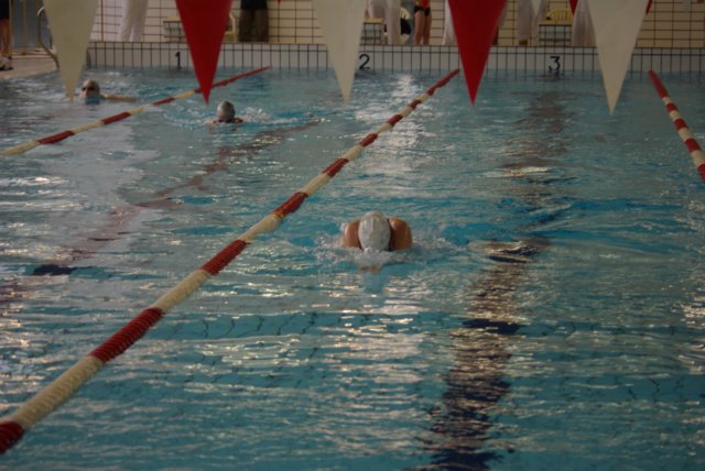 imgp4813.jpg