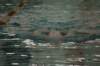 imgp4841_small.jpg