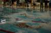 imgp4871_small.jpg