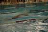 imgp4873_small.jpg