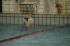imgp4874_small.jpg