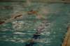 imgp4904_small.jpg