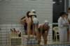 imgp4907_small.jpg