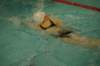 imgp4911_small.jpg