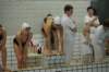 imgp4916_small.jpg