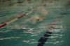 imgp4919_small.jpg