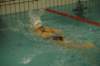 imgp4921_small.jpg
