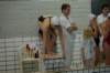imgp4927_small.jpg