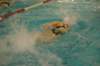 imgp4932_small.jpg
