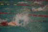 imgp5832_small.jpg