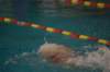 imgp5834_small.jpg