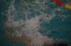 imgp5838_small.jpg