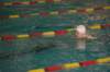 imgp5845_small.jpg
