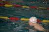 imgp5847_small.jpg