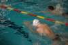 imgp5851_small.jpg