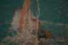imgp5873_small.jpg