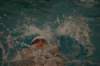 imgp5874_small.jpg