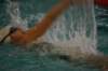 imgp5878_small.jpg