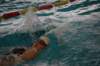 imgp5881_small.jpg
