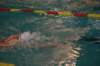 imgp5887_small.jpg