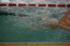 imgp5892_small.jpg