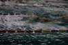 imgp5895_small.jpg