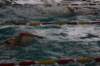 imgp5896_small.jpg