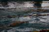 imgp5897_small.jpg