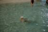imgp5907_small.jpg