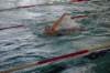 imgp5229_small.jpg