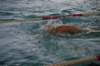 imgp5233_small.jpg