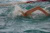 imgp5236_small.jpg