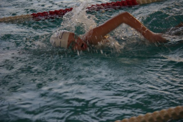 imgp5238.jpg