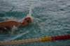 imgp5240_small.jpg