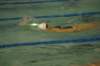 imgp5248_small.jpg
