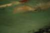 imgp5260_small.jpg