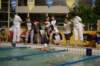 imgp5267_small.jpg