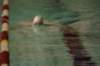 imgp5274_small.jpg