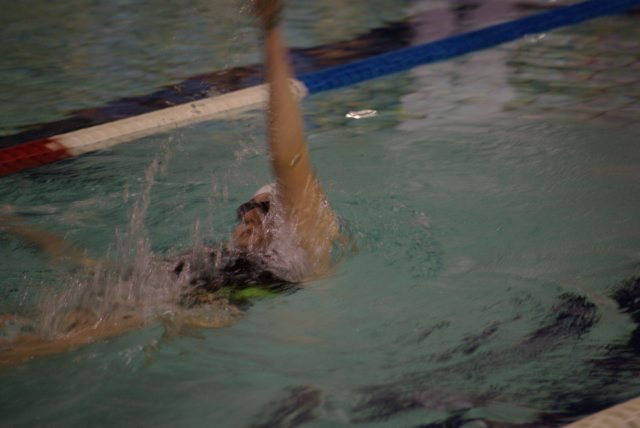 imgp5290.jpg