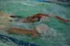 imgp5300_small.jpg