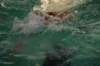 imgp5308_small.jpg