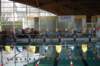 imgp5332_small.jpg