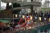 imgp5339_small.jpg