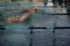imgp5352_small.jpg
