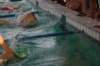 imgp5353_small.jpg