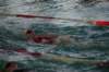 imgp5355_small.jpg